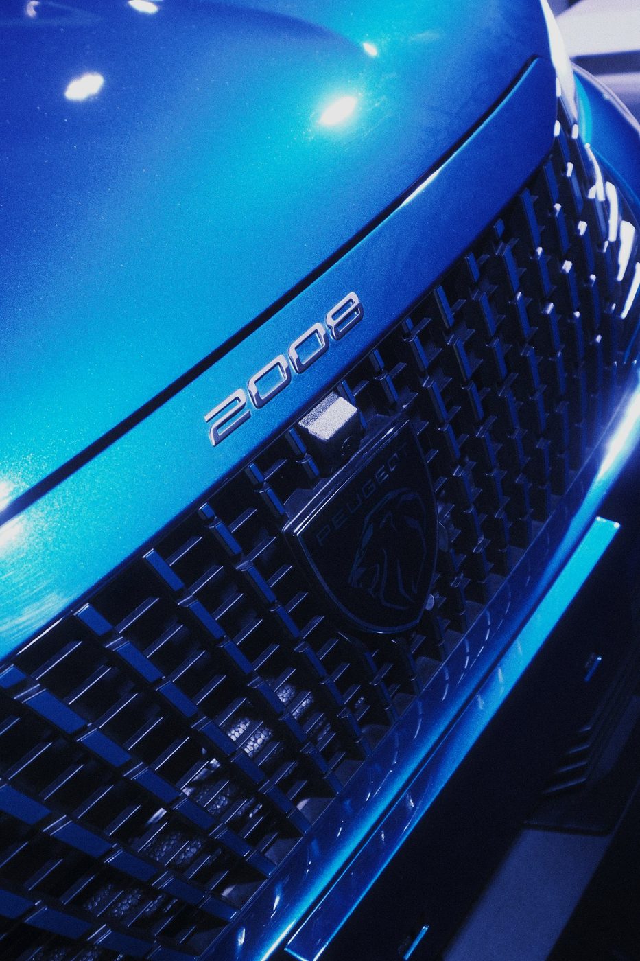 Ativação Peugeot no Festival Interlagos